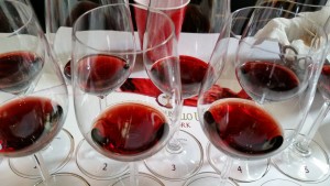 20150120_134726  brunello tasting glasses