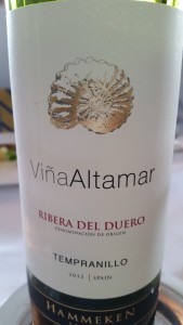 20150122_135424 vina altamar Hammeken